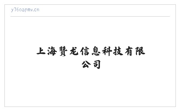 上海赞龙信息科技有限公司 缩略图